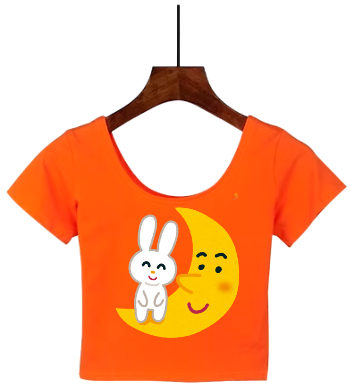 Rabbit Crop Top